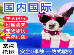 美兰机场托运国际宠物托运 【国